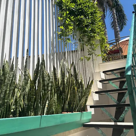 Ophelia Oda ve Kahvaltı