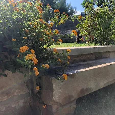 Ophelia לינה וארוחת בוקר 4*