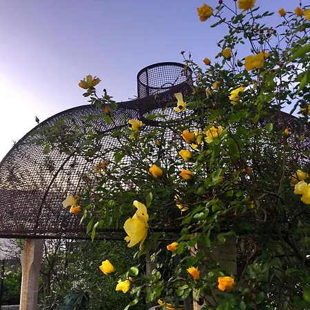 לינה וארוחת בוקר Ophelia 4*