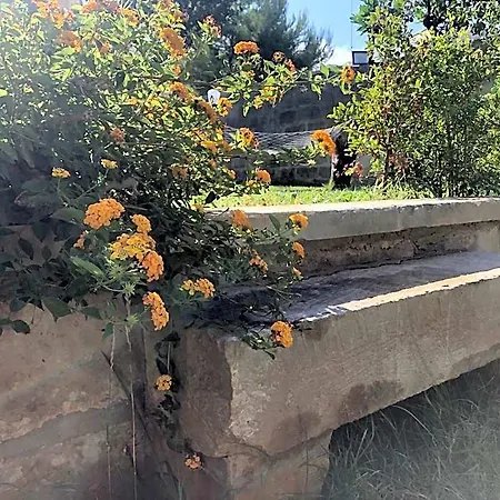 Ophelia Bed & Breakfast Otranto