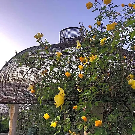 Bed & Breakfast Ophelia 4*